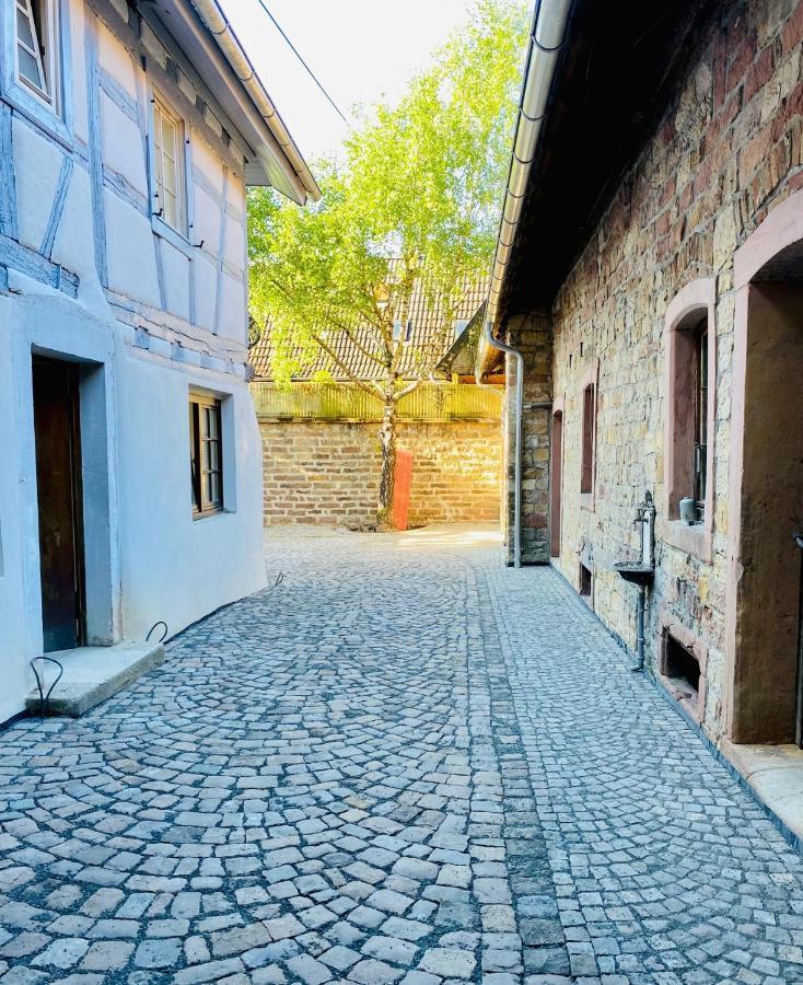 Vintner Suites Neustadt an der Weinstraße Exterior foto